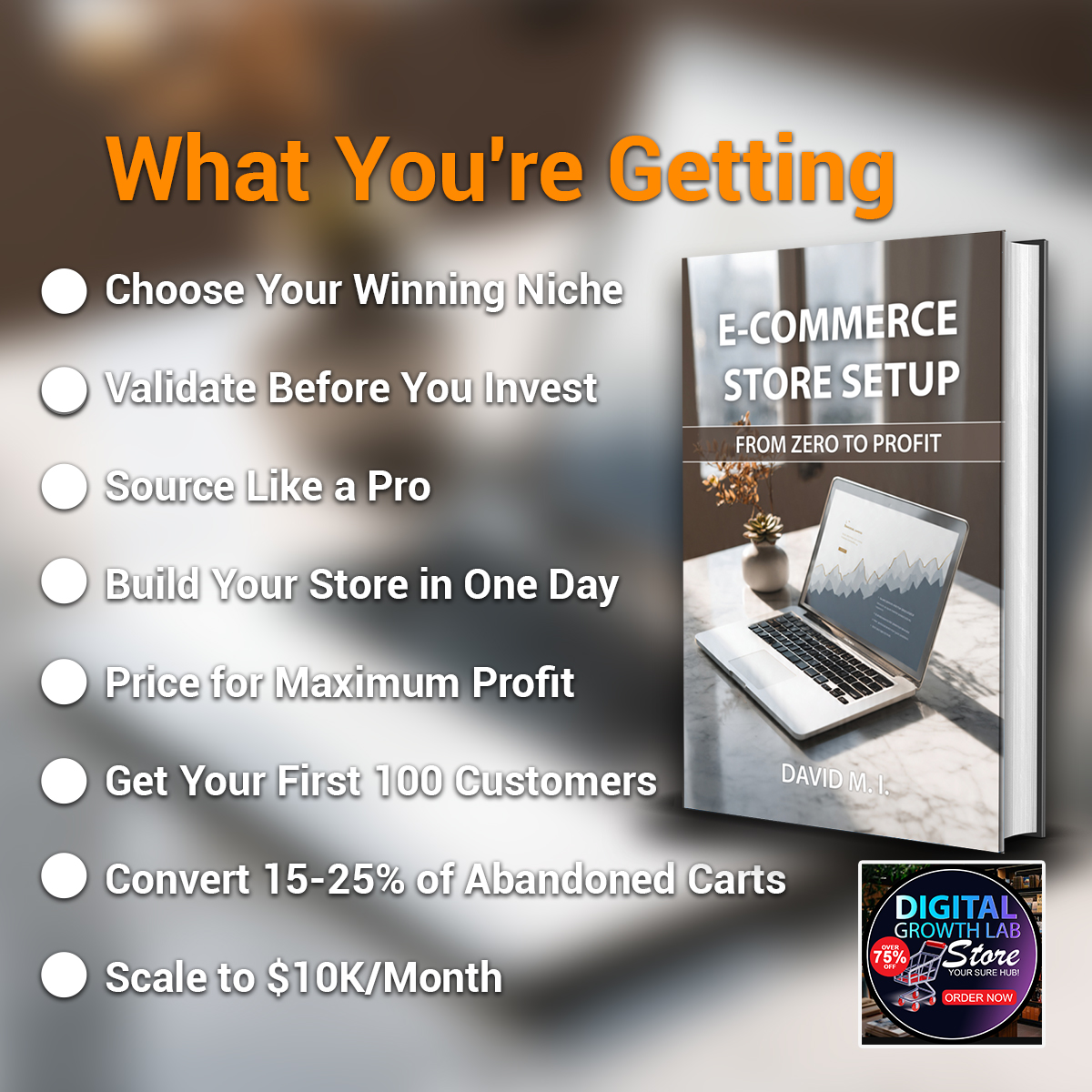 E-Commerce Store Setup: From Zero to Profit - Image 2